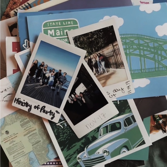 Meet your Posher, Daisy - Picture 2 of 7